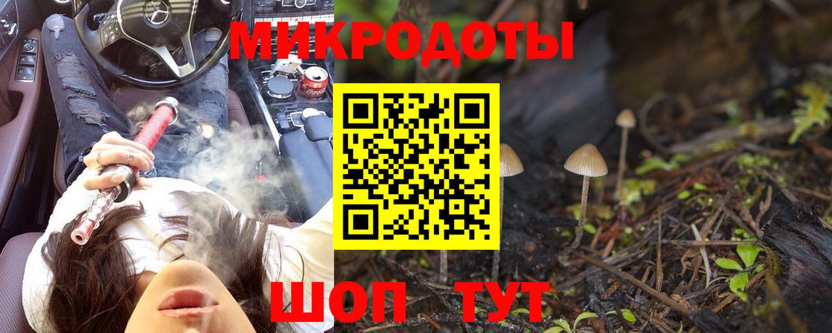 цена   Вход с VPN  Саранск  Галлюциногенные грибы Psilocybine cubensis 